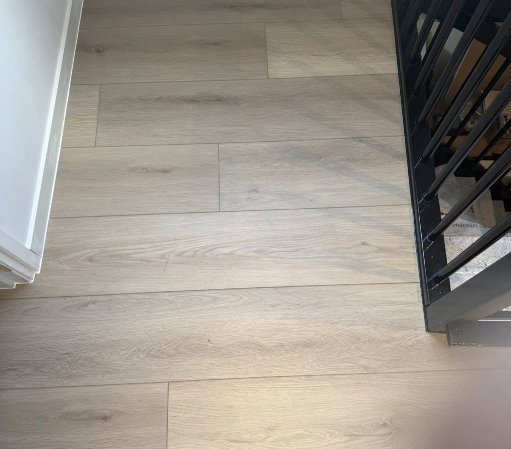 558882744_1537883991025225_8314771964214711676_n